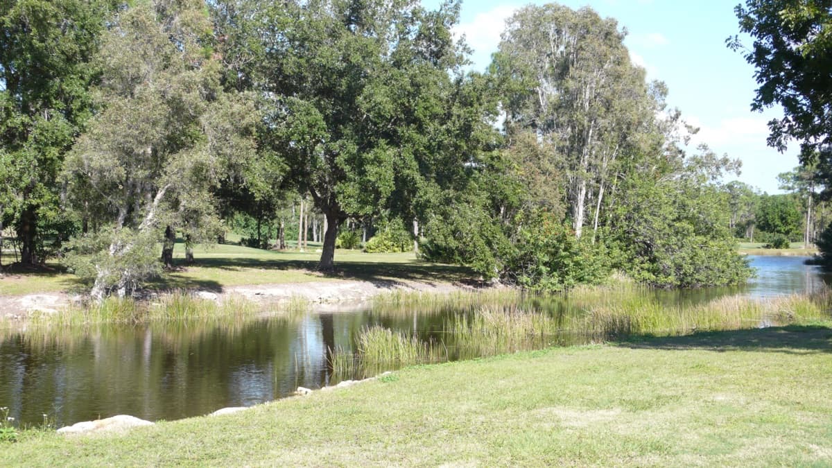 Fairway and green ringed by pines at Eastwood Golf Course in Fort Myers, Florida