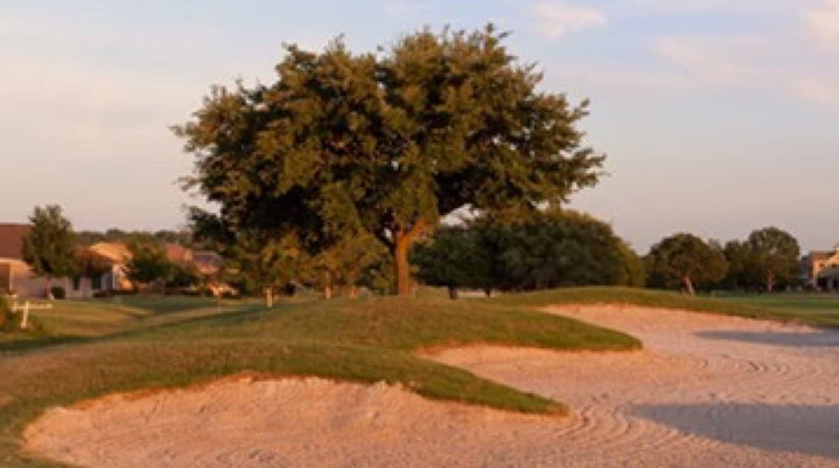 White Wing Golf Club in Georgetown, Texas