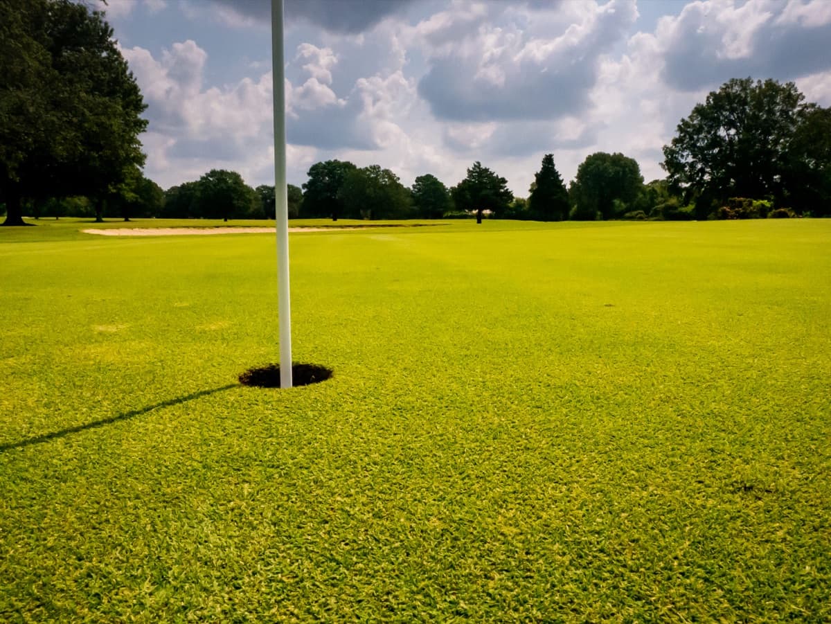The Links at Fox Meadows in Memphis, Tennessee