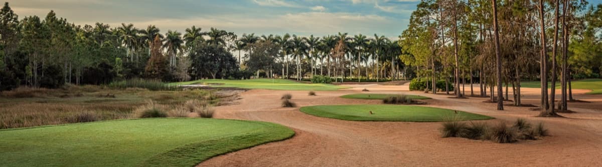 Tiburon Golf Club - The Gold Course in Naples, Florida