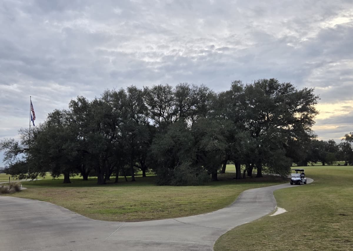 Bayou Oaks at City Park - South Course in New Orleans, Louisiana