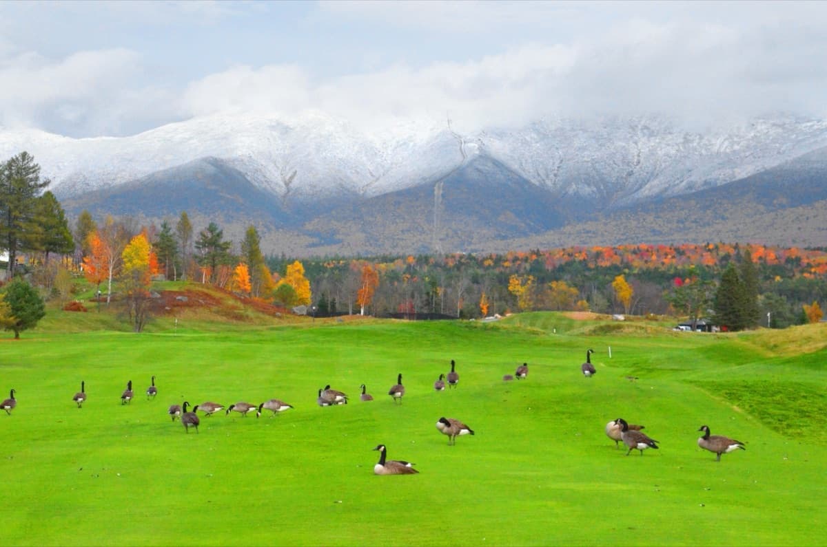Mount Washington Course in New Hampshire