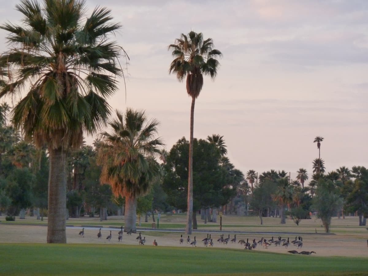 Encanto 18 Golf Course in Phoenix, Arizona
