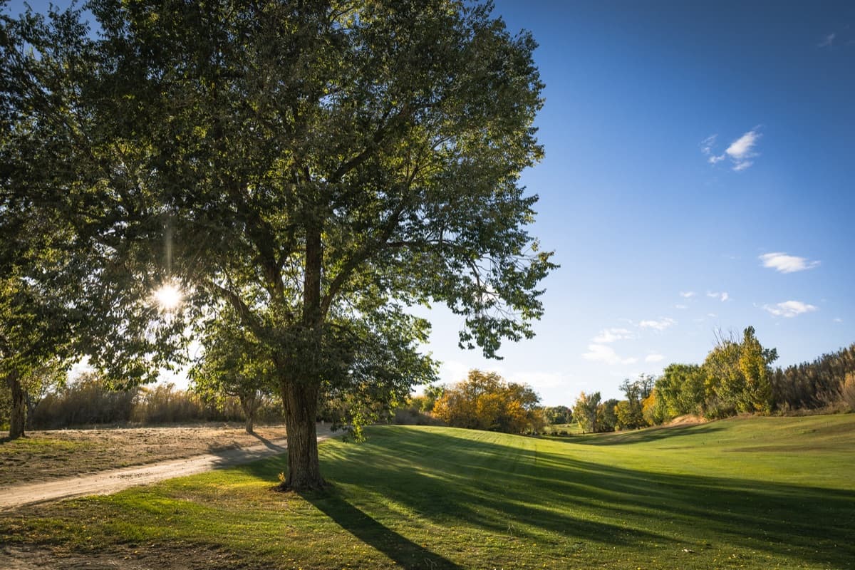 Washoe Golf Course in Reno, Nevada