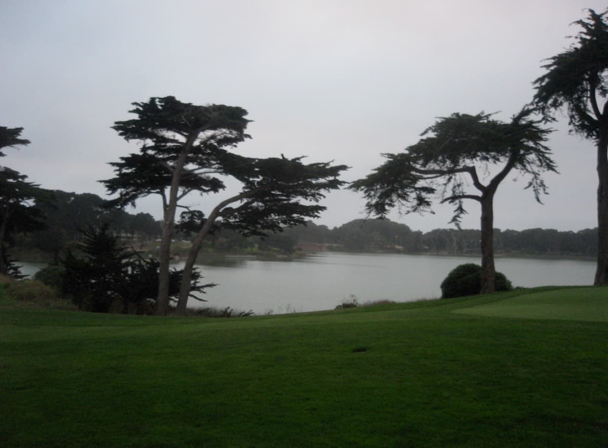 TPC Harding Park golf course in San Francisco, California