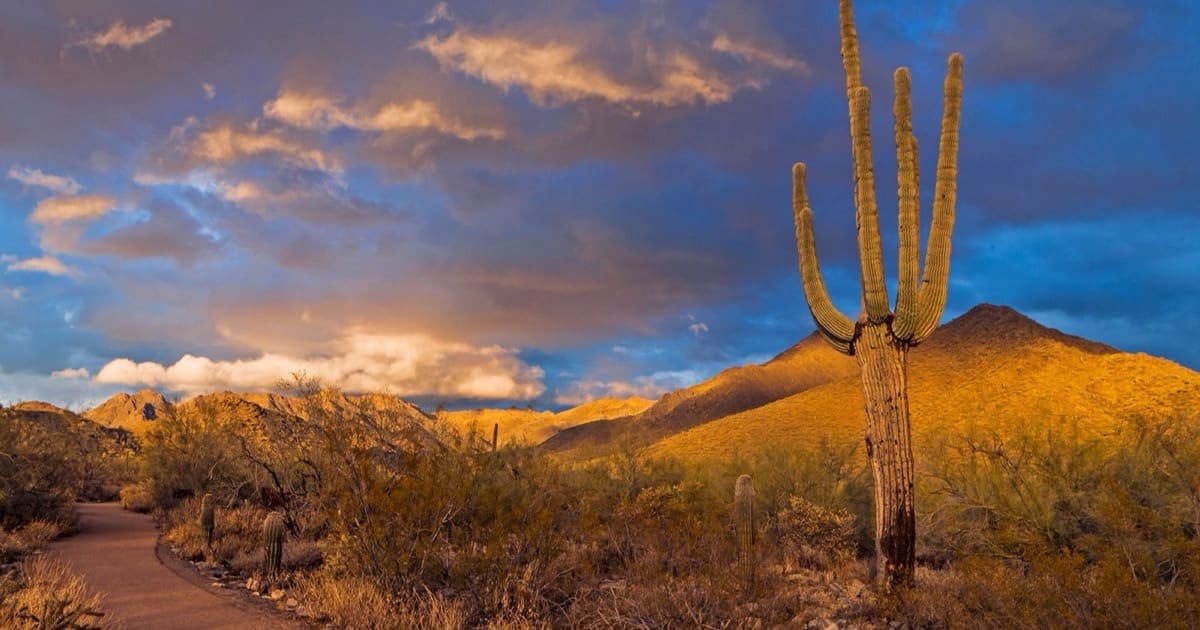 Scottsdale, Arizona