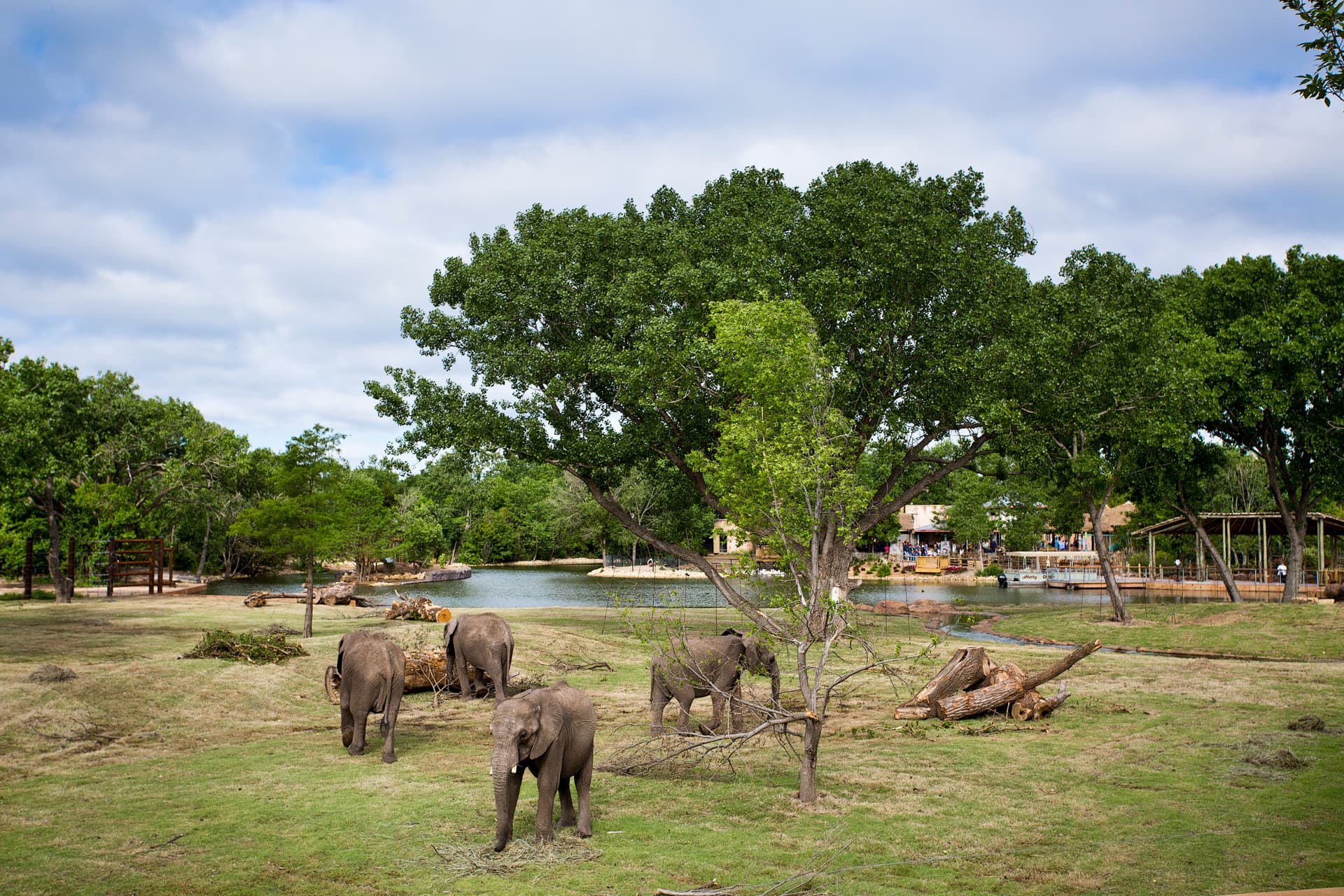 Sedgwick County Zoo, a nationally ranked park in Wichita, KS