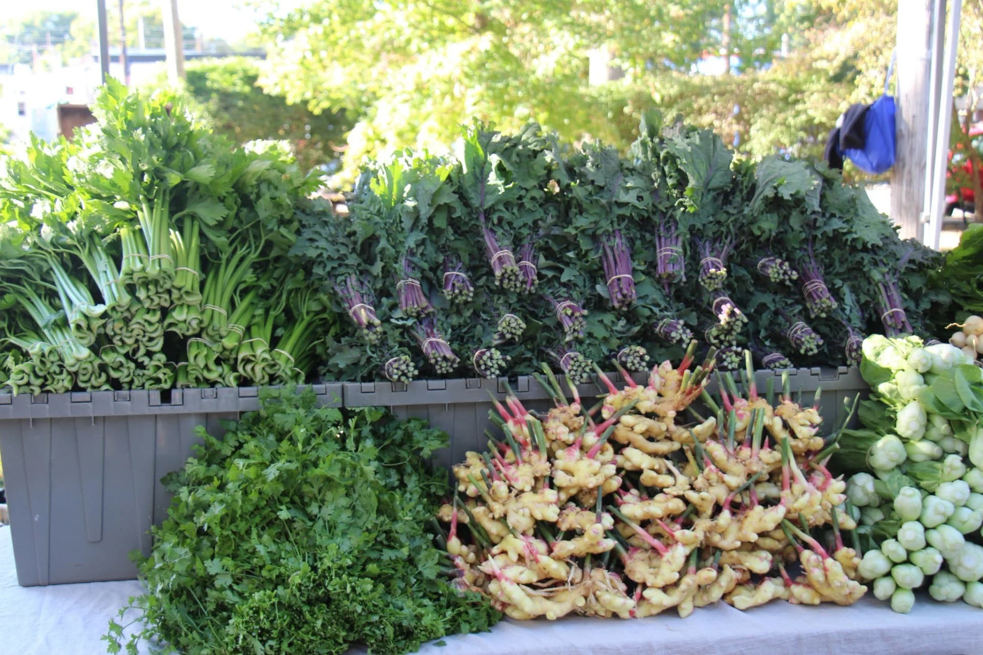 Douglass Loop Farmers Market in Louisville, KY